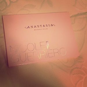 Anastasia Beverly Hills Nicole Guerriero Highlight